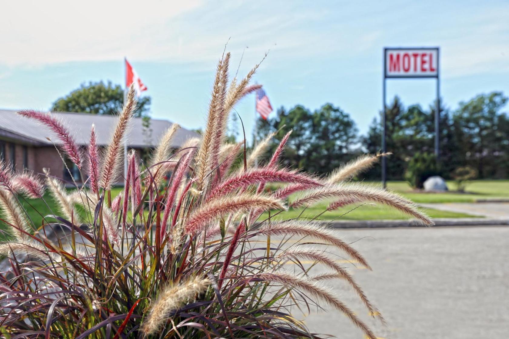 King Hotel Palmerston Exterior photo
